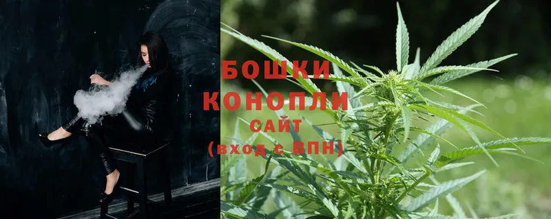 Марихуана SATIVA & INDICA  купить наркотик  гидра зеркало  Голицыно 